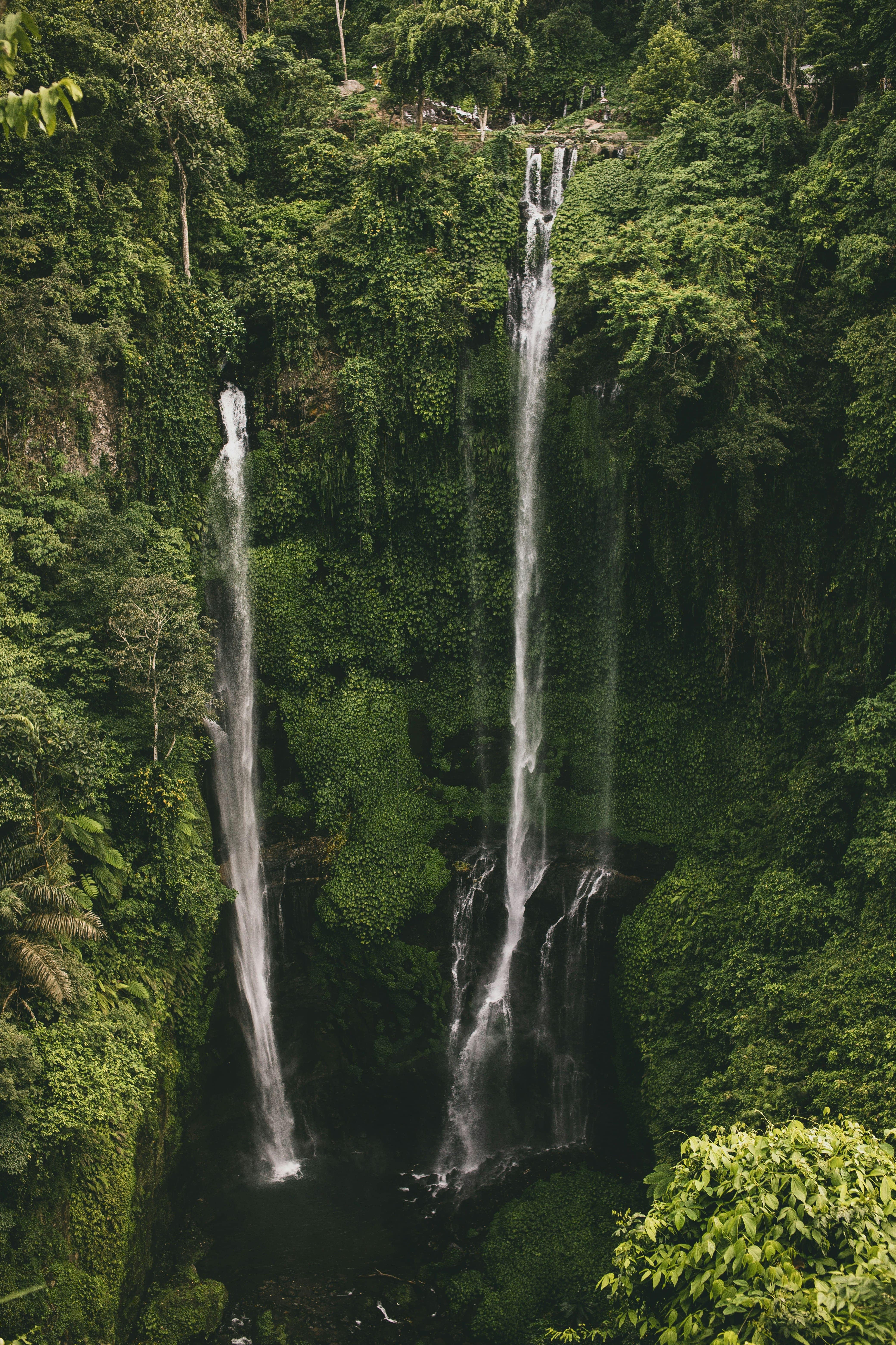 Custom Bali Tour